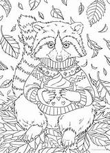 Raccoon Favoreads Racoon Adulte Vendu sketch template