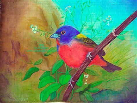 bird   birds paintings gallery