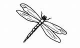 Dragonfly Template Templates Pages Colouring Thick Crafts sketch template