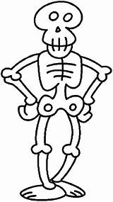Skeleton Human Coloringhome sketch template