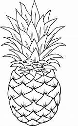 Pineapples Frutas Piña Gravado Fruta Bordado Vidrio Pintar Ausmalen sketch template