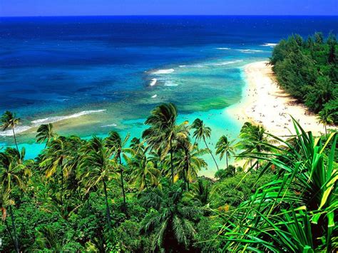 hawaii honeymoon   newlyweds tropical paradise honeyfund blog