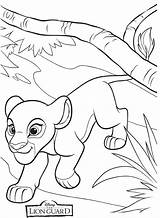 Lion Coloring Guard Pages Kiara Kids sketch template