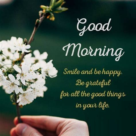 top  good morning tuesday status quotes wishes  images