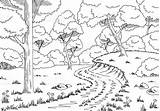 Forest Habitat Drawing Animals Habitats Drawings Paintingvalley sketch template