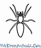 Spider Easy Woodlouse Drawing Draw Tutorial Print Paintingvalley sketch template