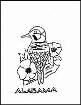 Alabama Yellowhammer Supercoloring sketch template