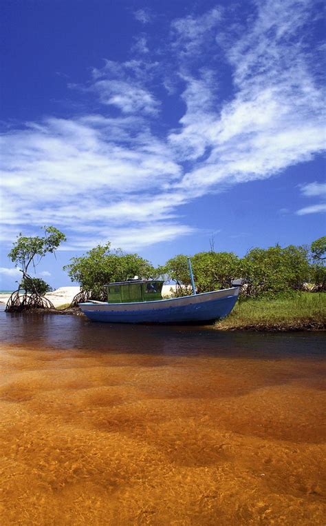 Foz Do Rio Trancoso Bahia River Water Outdoor
