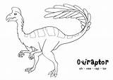 Archaeopteryx Oviraptor Genus sketch template