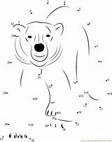 Connect Worksheet Connectthedots101 Rid Teddy Polarbear sketch template