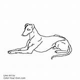 Greyhound Dog Laying Down Coloring Drawings Line Pages Own Color Dogs Draw Hound Template Face Greyhounds Whippet Animal Things Sketch sketch template