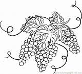 Coloring Grapes Grape Vine Clipart Clip Leaves Pages Drawing Vineyard Branches Mosaic Cliparts Drawings Outline Getcolorings 1000 Vines Flower Getdrawings sketch template
