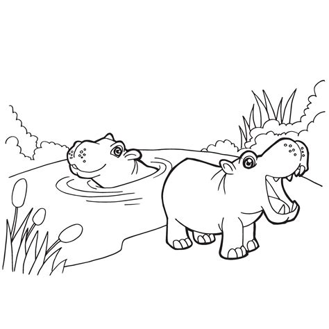 colouring pages  hippopotamus leblogduvielaudon