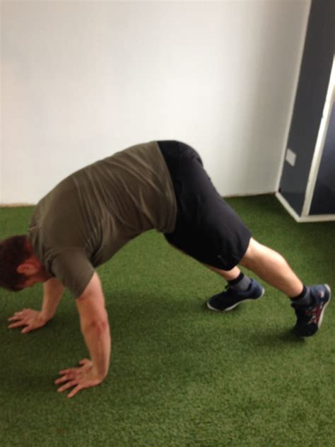 type  crawl movement personal training