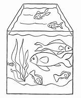 Kids Aquarium Drawing Fish Tank Getdrawings sketch template