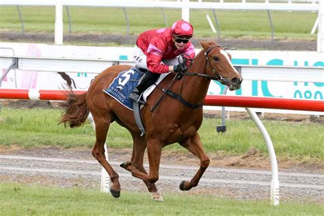 prom queen dazzles  northland breeders stakes horse betting
