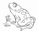 Coloring Pages Reptiles Popular sketch template