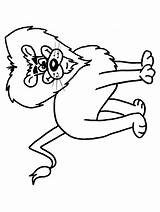 Disegni Leoni Bojanke Felini Leone Coloring Tigri Bambini Colorare Zivotinje Lavova Lavovi Crtež Dva Crtezi Lion Bojanje Printanje Coloratutto Gifgratis sketch template