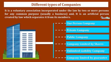 6 Different Types Of Companies Explained With Examples