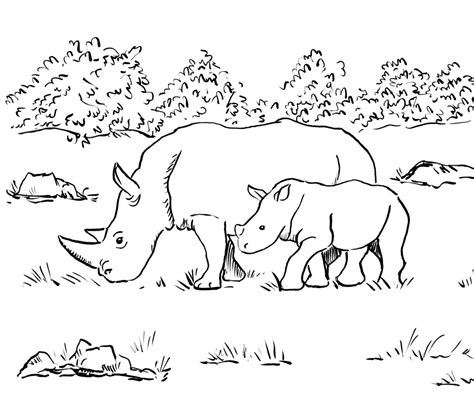 rhino coloring page art starts