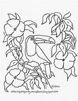 Coloring Toucan Pages Printable Kids Coloringpagesbymradron Adron Mr sketch template
