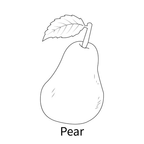 pear drawing  kids