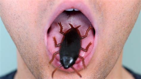 cockroach in mouth youtube