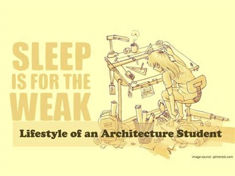 lifestyle   architecture student archistudent
