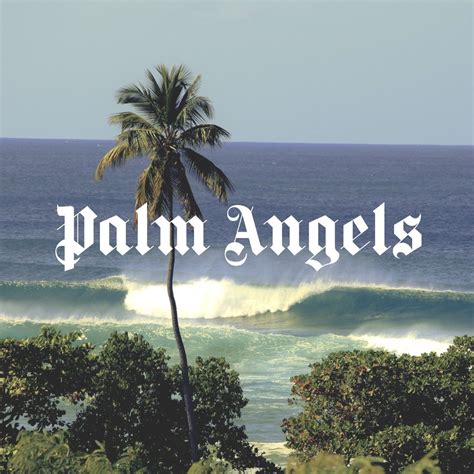 hapsdag palm angels home decor decals home decor