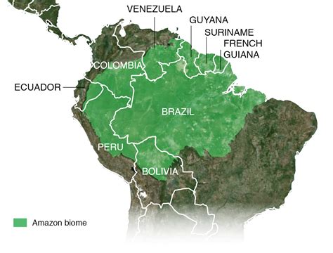 brazilian amazon rainforest map     brazil  covered   amazon