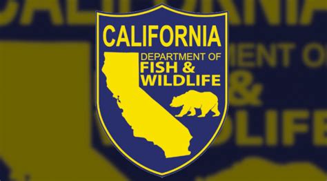 california department  fish  wildlife kibskbov inyo county