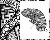 Zentangle Lizard Coloring Animal Colouring Chameleon sketch template