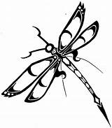 Dragonfly Insects Kb sketch template