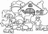 Boerderij Boerderijdieren Dieren Peuters Babydieren Afbeeldingsresultaat Tekeningen Uitprinten Terborg600 Kalfje Topkleurplaat Downloaden sketch template