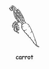 Carrot Carrots sketch template