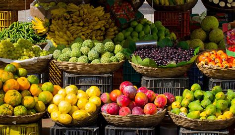 gambar buah buahan segar  gejala    pengendalian penyakit antraknosa  tanaman