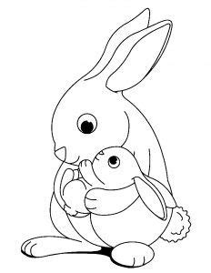 rabbit  printable coloring pages  kids bunny coloring pages