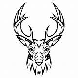 Deer Tribal Head Drawing Skull Buck Tattoo Designs Drawings Stencil Tattoos Line Antler Draw Clipartmag Findtattoodesign Return Getdrawings Choose Board sketch template