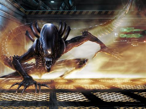 alien resurrection sci fi aliens wallpapers hd desktop  mobile backgrounds