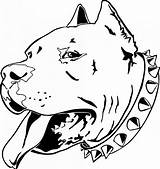 Mean Bull Drawing Pitbull Coloring Pages Getdrawings sketch template