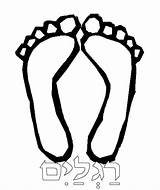 Feet Coloring Foot Toes Colour Clipart Pages Torah Tots Library Natasha Ridiculously Hot Torahtots Template 2000 Inc sketch template