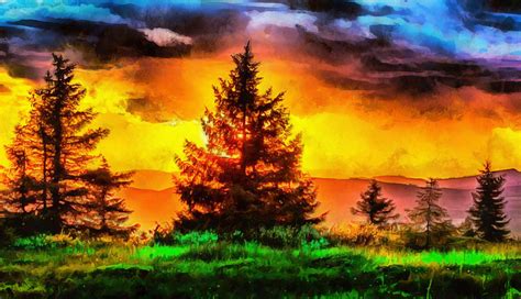 nature scenary beautiful nature trees picture trees trees  image stock  image