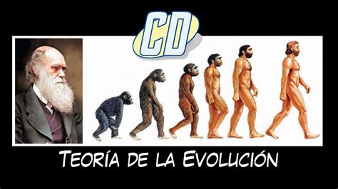 La Teoria De La Evolucion Kulturaupice