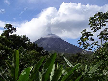 arenal volcano stock photo image  active ecotourism