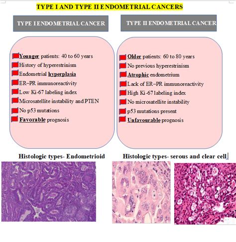 Difference Between Type I And Type Ii Endometrial