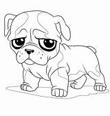 Pug Coloring Sad Face Little Color sketch template