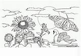 Coloring Nature Pages Adults Printable Popular sketch template