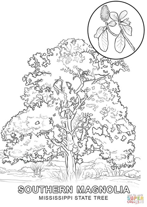 mississippi state tree coloring page  printable coloring pages