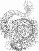 Coloring Dragon Pages Adults Fire Fox Print Linework Benjamin Deviantart sketch template