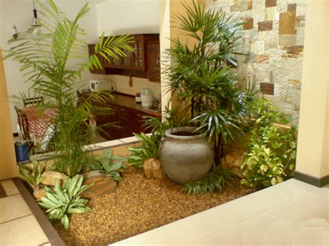 set   small  wonderful indoor garden page